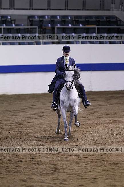 Proof 11r13_0215