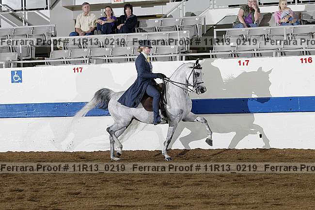 Proof 11r13_0219