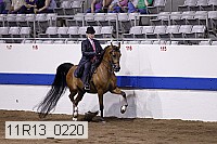 11r13_0220 proof