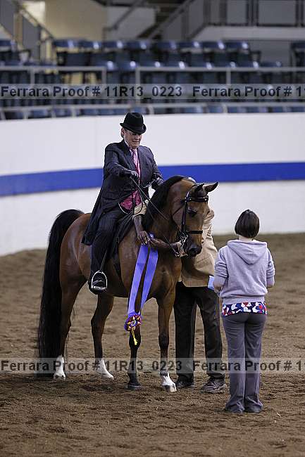 Proof 11r13_0223