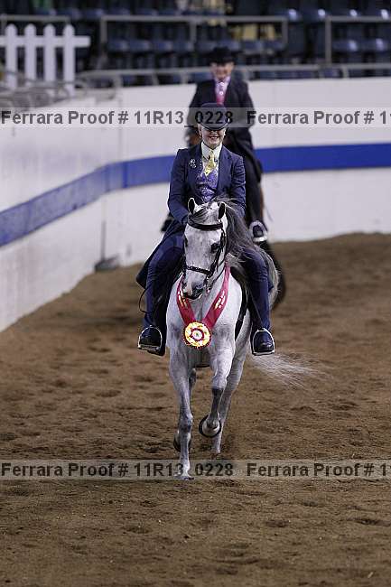Proof 11r13_0228