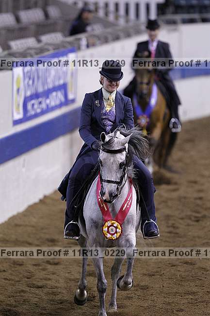 Proof 11r13_0229