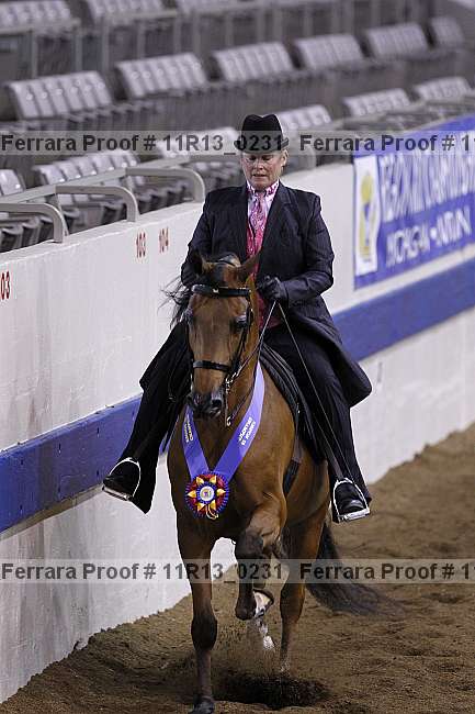 Proof 11r13_0231