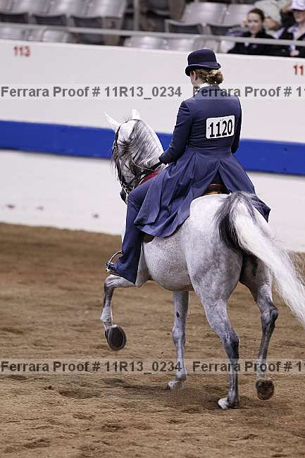 Proof 11r13_0234