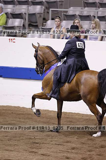 Proof 11r13_0235