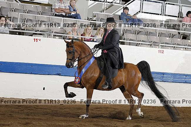 Proof 11r13_0236