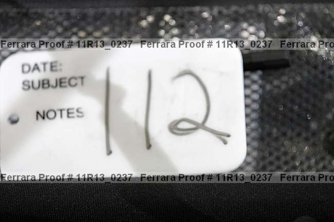 Proof 11r13_0237
