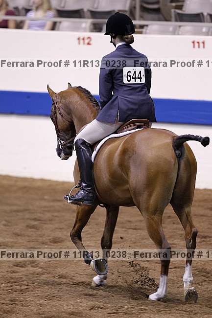Proof 11r13_0238