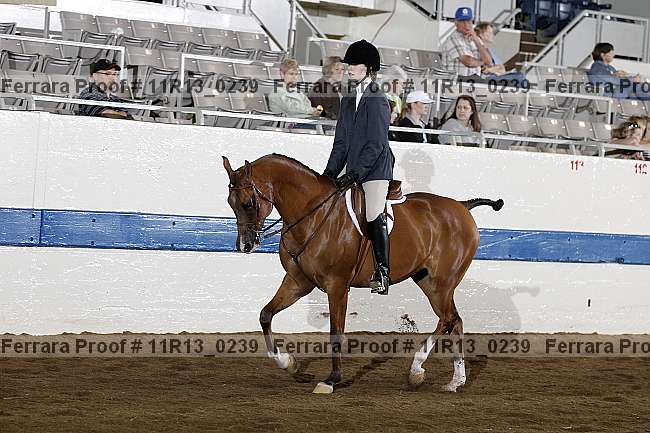 Proof 11r13_0239