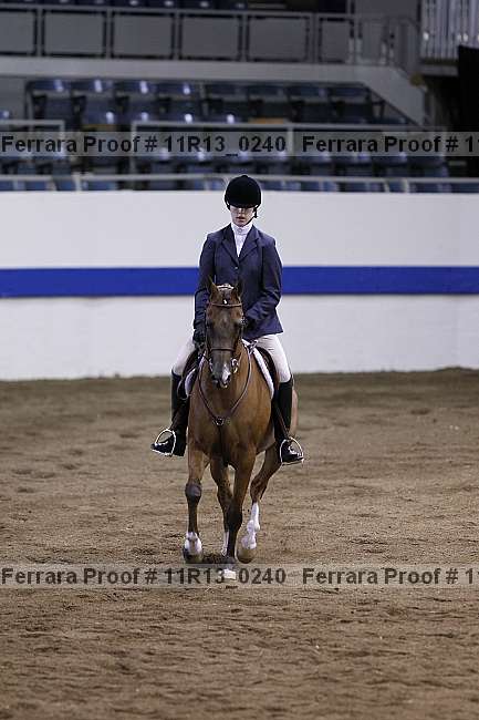 Proof 11r13_0240