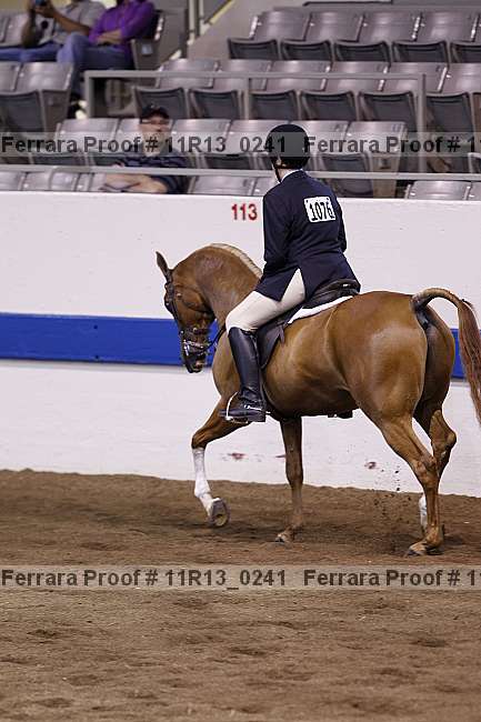 Proof 11r13_0241