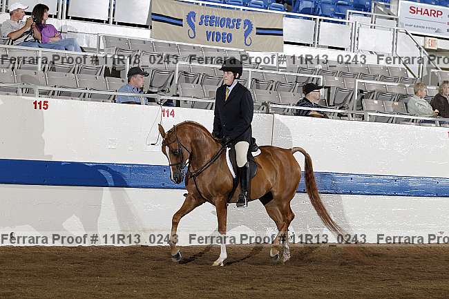 Proof 11r13_0243