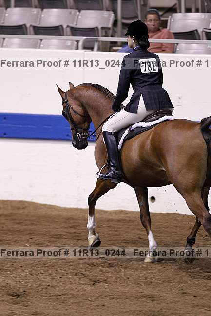Proof 11r13_0244