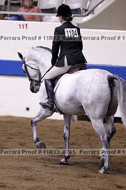 Proof 11r13_0245