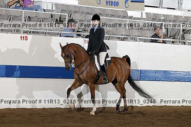 Proof 11r13_0246