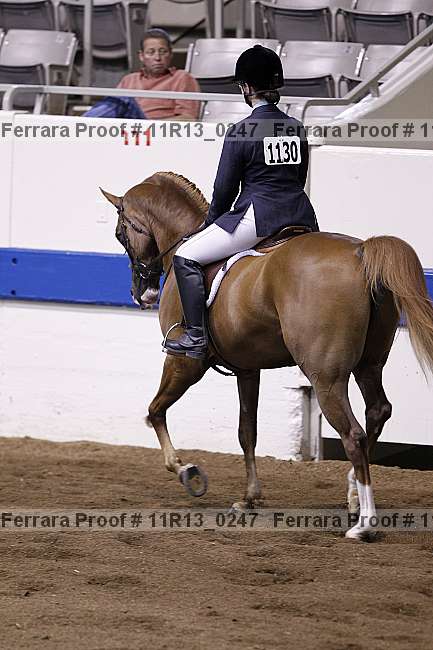 Proof 11r13_0247