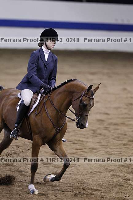 Proof 11r13_0248