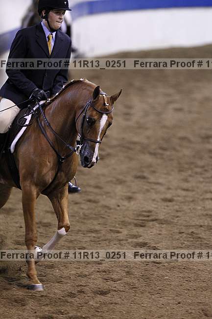 Proof 11r13_0251