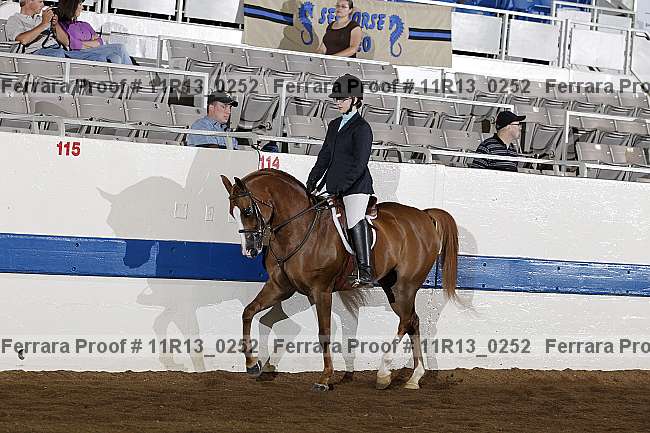 Proof 11r13_0252