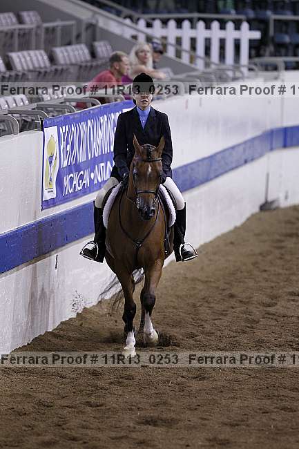 Proof 11r13_0253