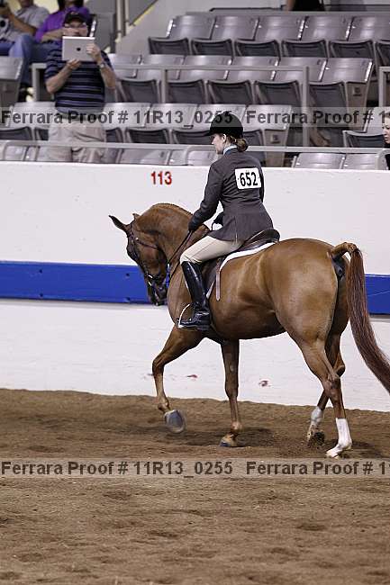 Proof 11r13_0255