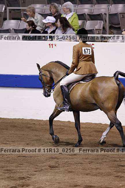 Proof 11r13_0256