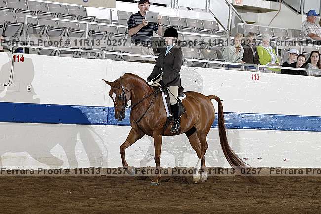Proof 11r13_0257