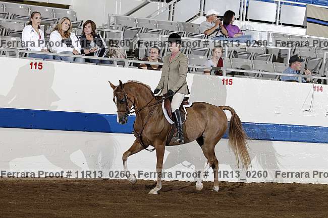 Proof 11r13_0260