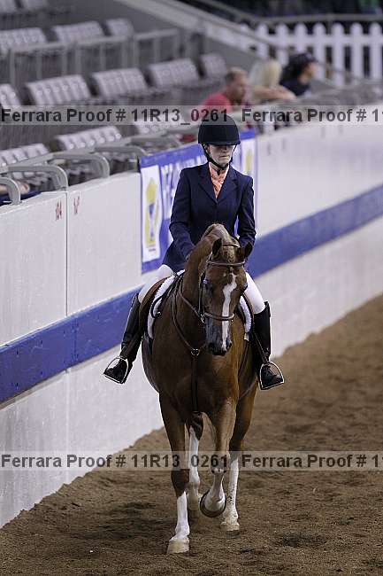 Proof 11r13_0261