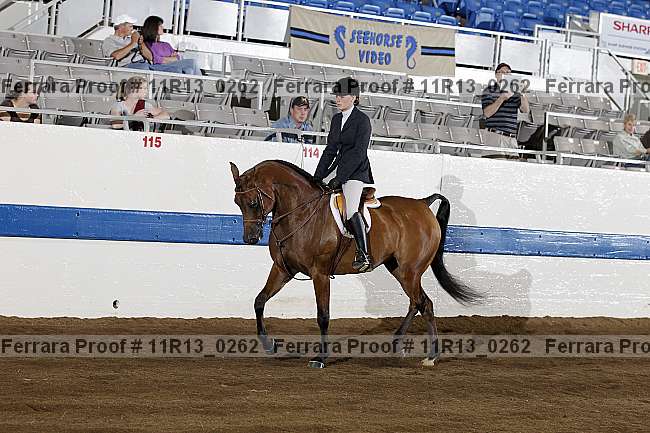 Proof 11r13_0262