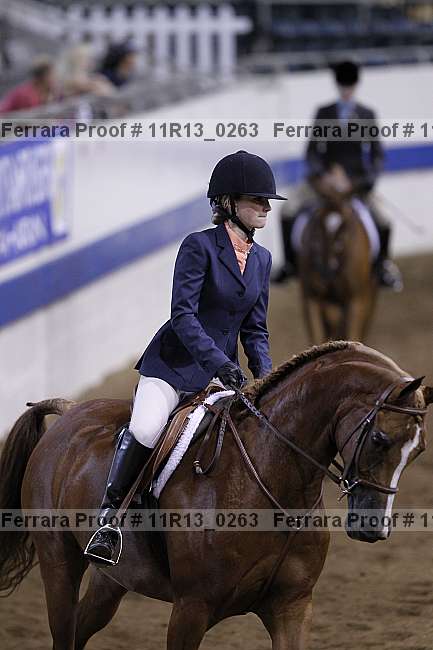 Proof 11r13_0263