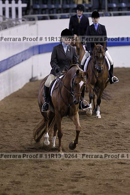 Proof 11r13_0264
