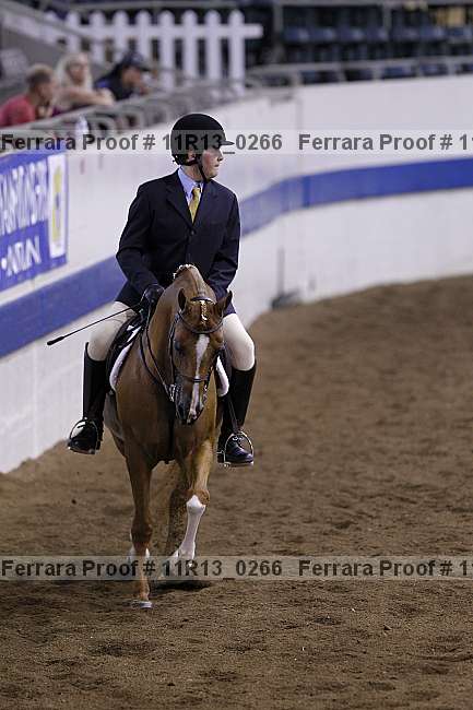 Proof 11r13_0266