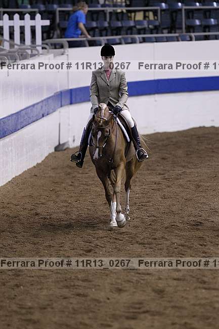 Proof 11r13_0267