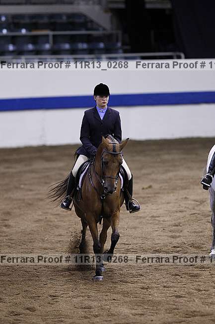 Proof 11r13_0268