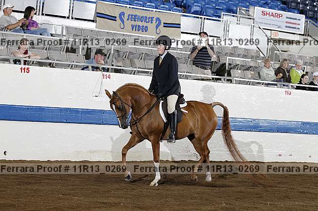 Proof 11r13_0269