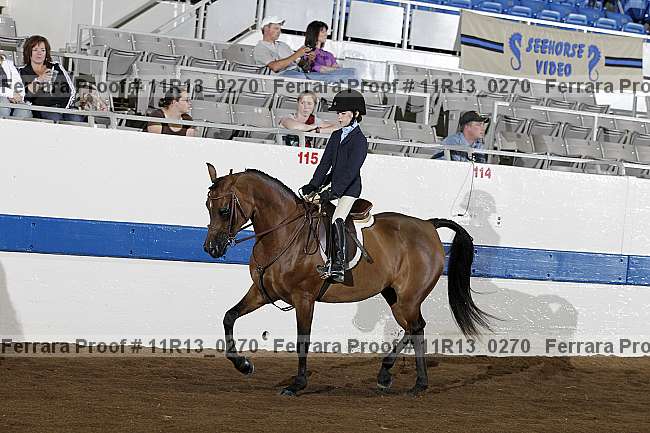 Proof 11r13_0270