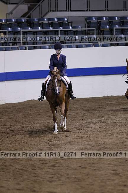 Proof 11r13_0271