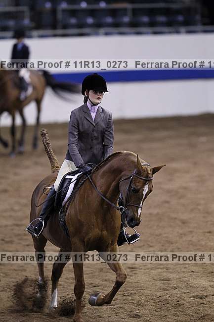 Proof 11r13_0273