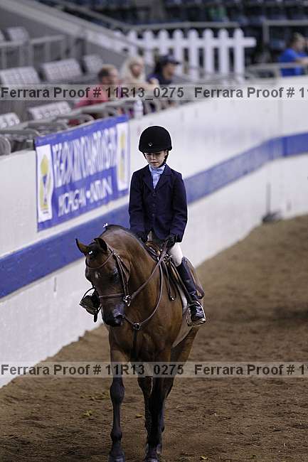 Proof 11r13_0275
