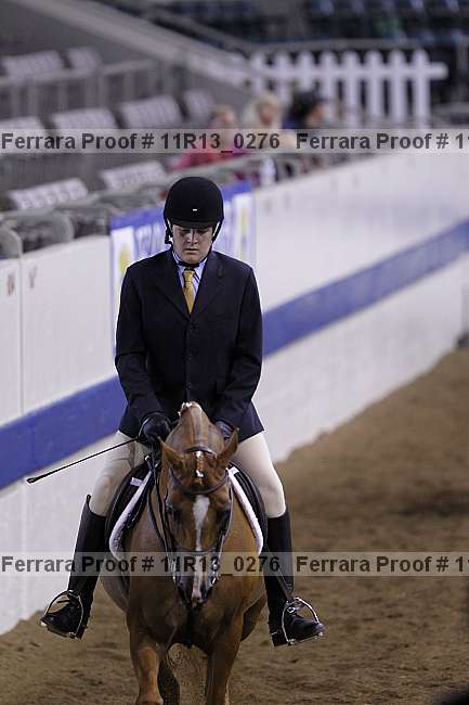 Proof 11r13_0276