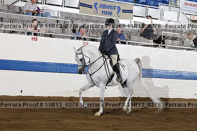 Proof 11r13_0278