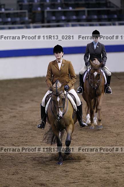 Proof 11r13_0281