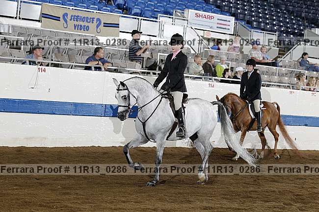 Proof 11r13_0286