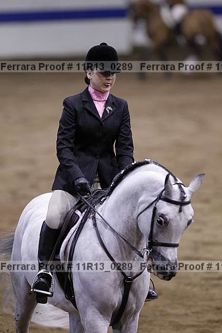 Proof 11r13_0289
