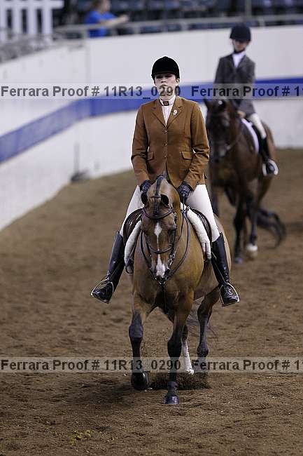 Proof 11r13_0290