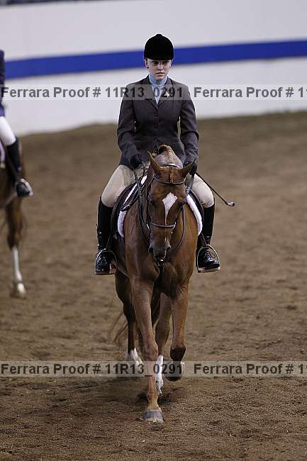 Proof 11r13_0291