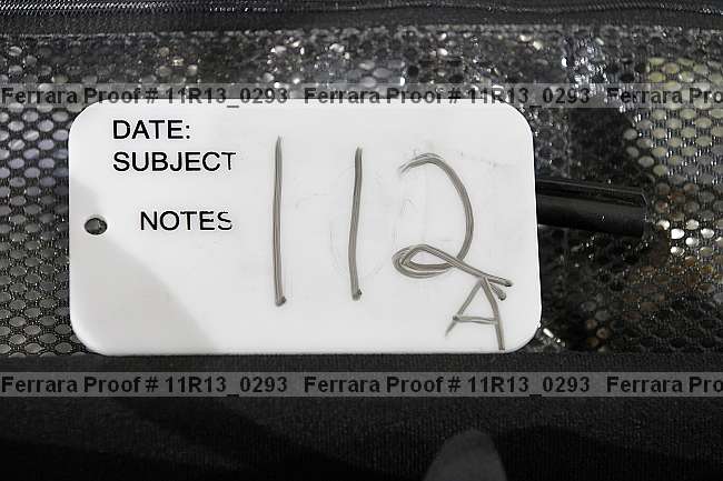 Proof 11r13_0293