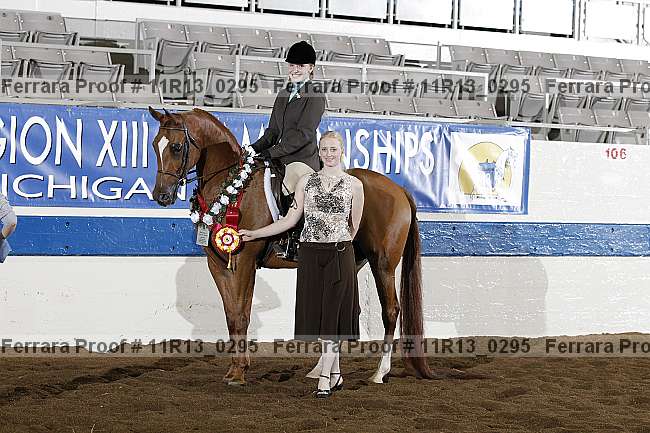 Proof 11r13_0295