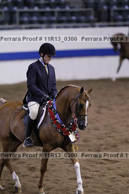 Proof 11r13_0300